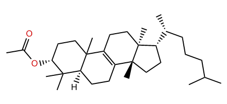 Isotirucallenol acetate